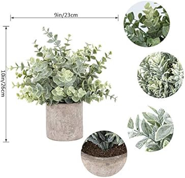 Der Rose 3 Pack Mini Potted Fake Plants Artificial Plastic Eucalyptus Plants for Home Office Desk... | Amazon (US)
