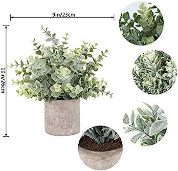 Der Rose 3 Pack Mini Potted Fake Plants Artificial Plastic Eucalyptus Plants for Home Office Desk... | Amazon (US)