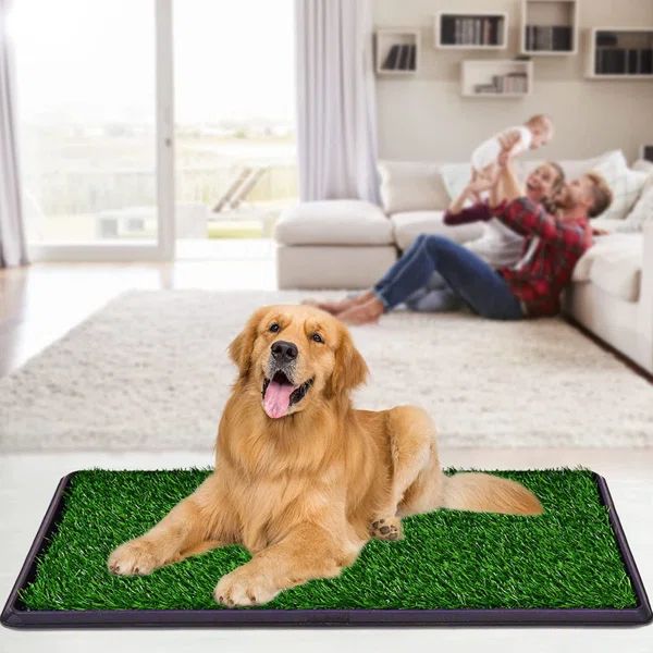 Dog Grass Pet Loo Indoor/Outdoor Portable Potty, Artificial Grass Patch Bathroom Mat And Washable... | Wayfair North America