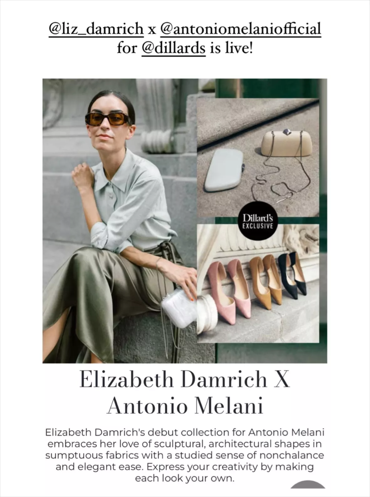 Dillard's, Inc. - Dillard's Debuts Elizabeth Damrich for Antonio Melani