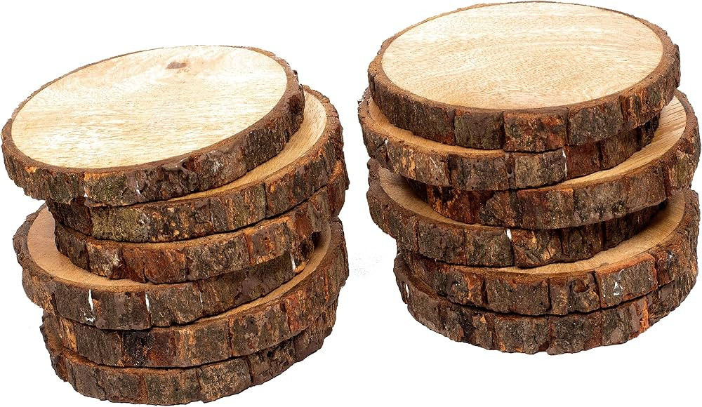 Coaster Set of 12, Natural Wood Slices, Round Wood Discs Tree Bark Wooden Circles for DIY Craftin... | Amazon (US)
