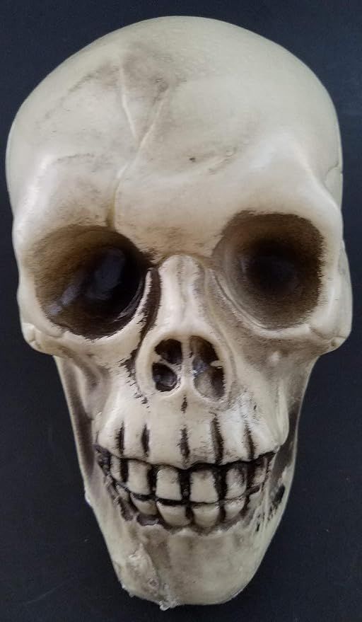 Greenbrier Halloween Human Skulls Plastic 4.5”H x 4”W x 6.5”D | Amazon (US)