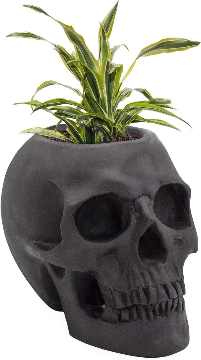 Esterno Black Skull Planter Pot, Horror Zombie Theme Decorative Mini Planter for Air Plants, Succ... | Amazon (US)