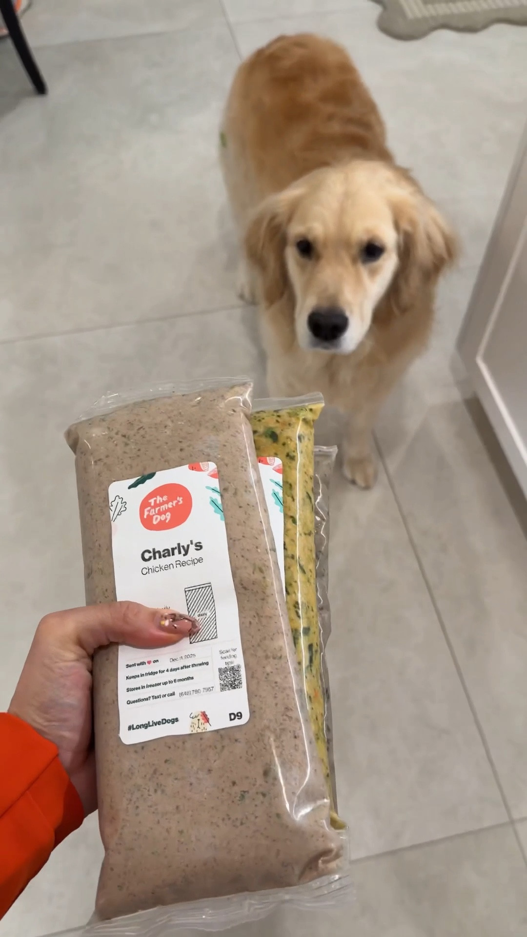 @thefarmersdog helps support charly’s quality of life as a big sister to soon to be two human siblings! Get 50% off your first box of fresh food #thefarmersdog #TFDPartner 
