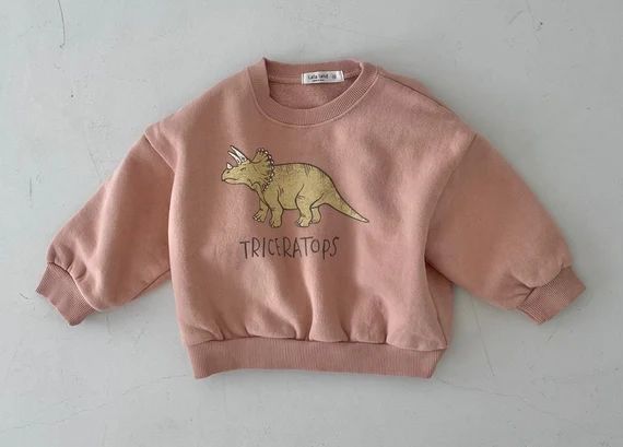 Dinosaur Soft Fleece Lined Sweatshirt for Toddler & Kids / | Etsy | Etsy (US)