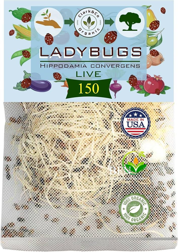 Clark&Co Organic 150x1 Live Ladybugs - Good Bugs for Garden - Pre-Fed Hippodamia Convergens - Gua... | Amazon (US)