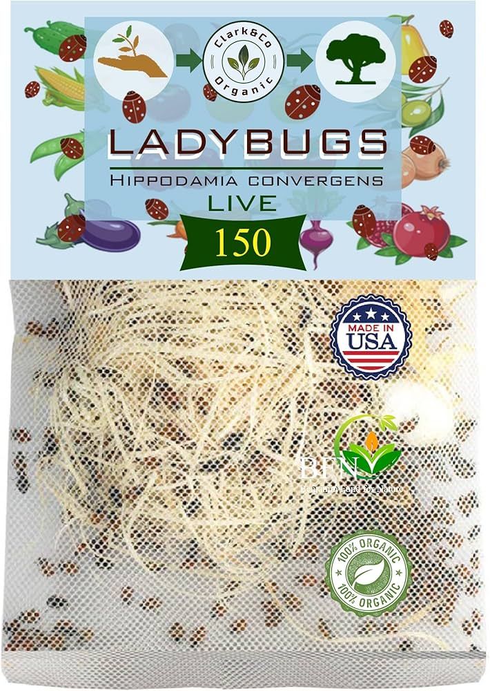 Clark&Co Organic 150x1 Live Ladybugs - Good Bugs for Garden - Pre-Fed Hippodamia Convergens - Gua... | Amazon (US)