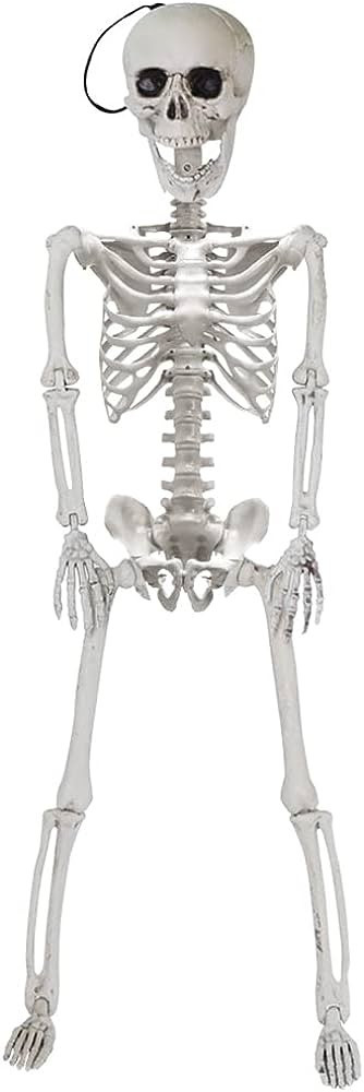 Skeleton | Amazon (US)