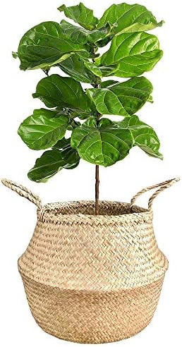 BeeGreeny Large Seagrass Belly Basket | Handwoven Foldable Storage Basket with Handles for Laundr... | Amazon (US)