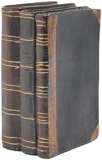 Decorative Books Coffee Table Books Decor - Resin Retro Classical Fake Decorative Books Set of 3 ... | Amazon (US)