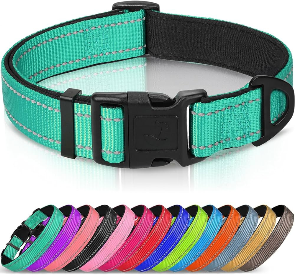 Joytale Reflective Dog Collar, Soft Neoprene Padded, Metal D-Ring, Nylon Pet Collar Adjustable fo... | Amazon (US)