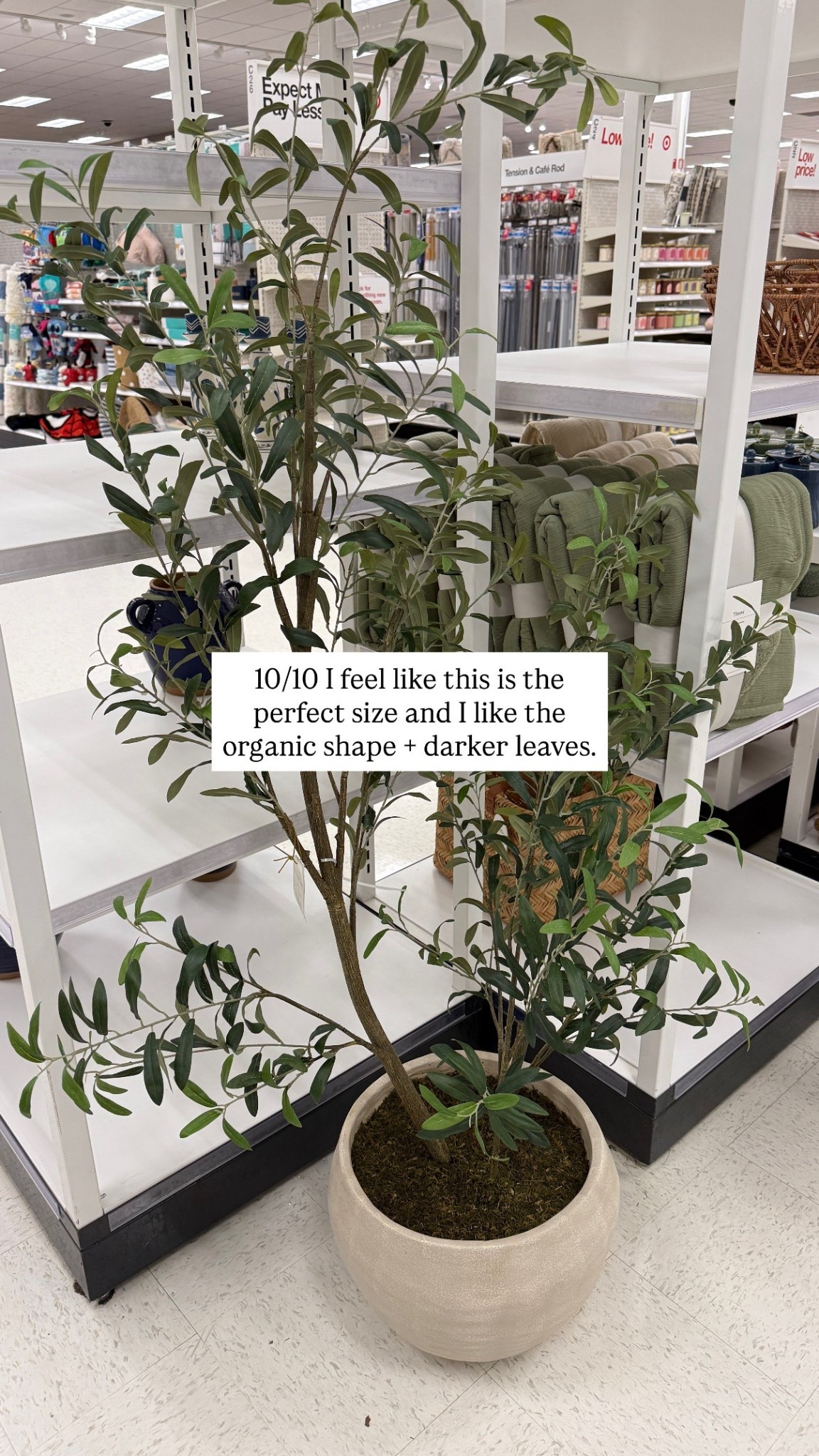 Really like this medium size for a corner! 

#LTKHome #LTKSaleAlert