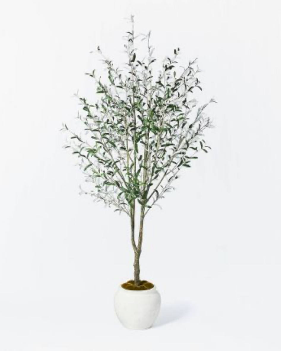 Faux olive tree! 