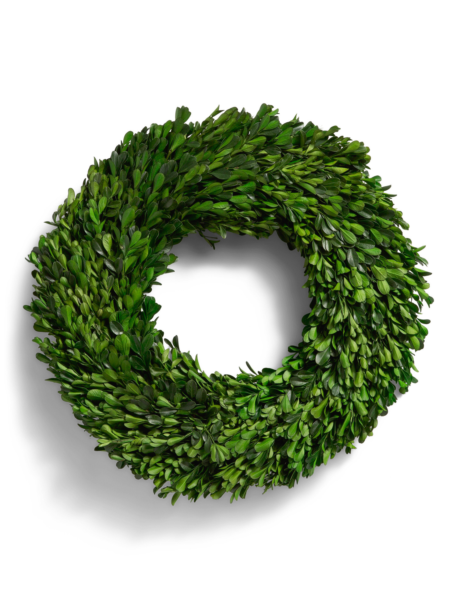 16.5in Real Preserved Boxwood Wreath | TJ Maxx