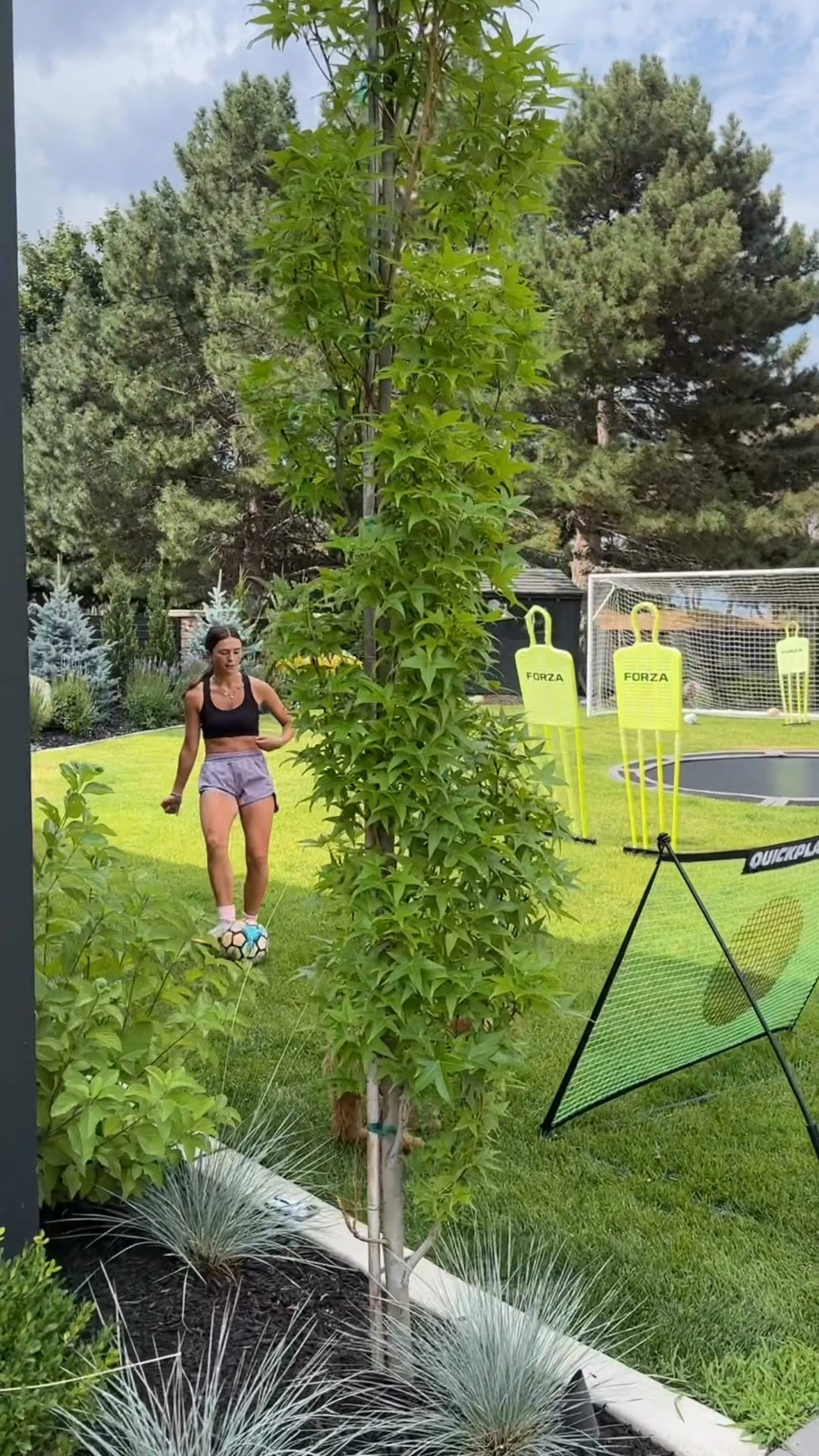 We have a regulation size goal 