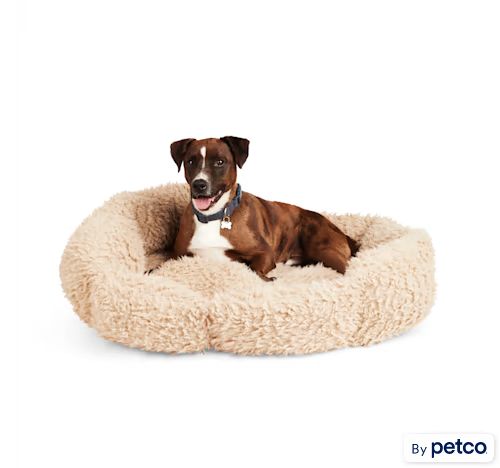 EveryYay Essentials Cozy Boucle Dog Bed, 40" L X 30" W X 10" H | Petco