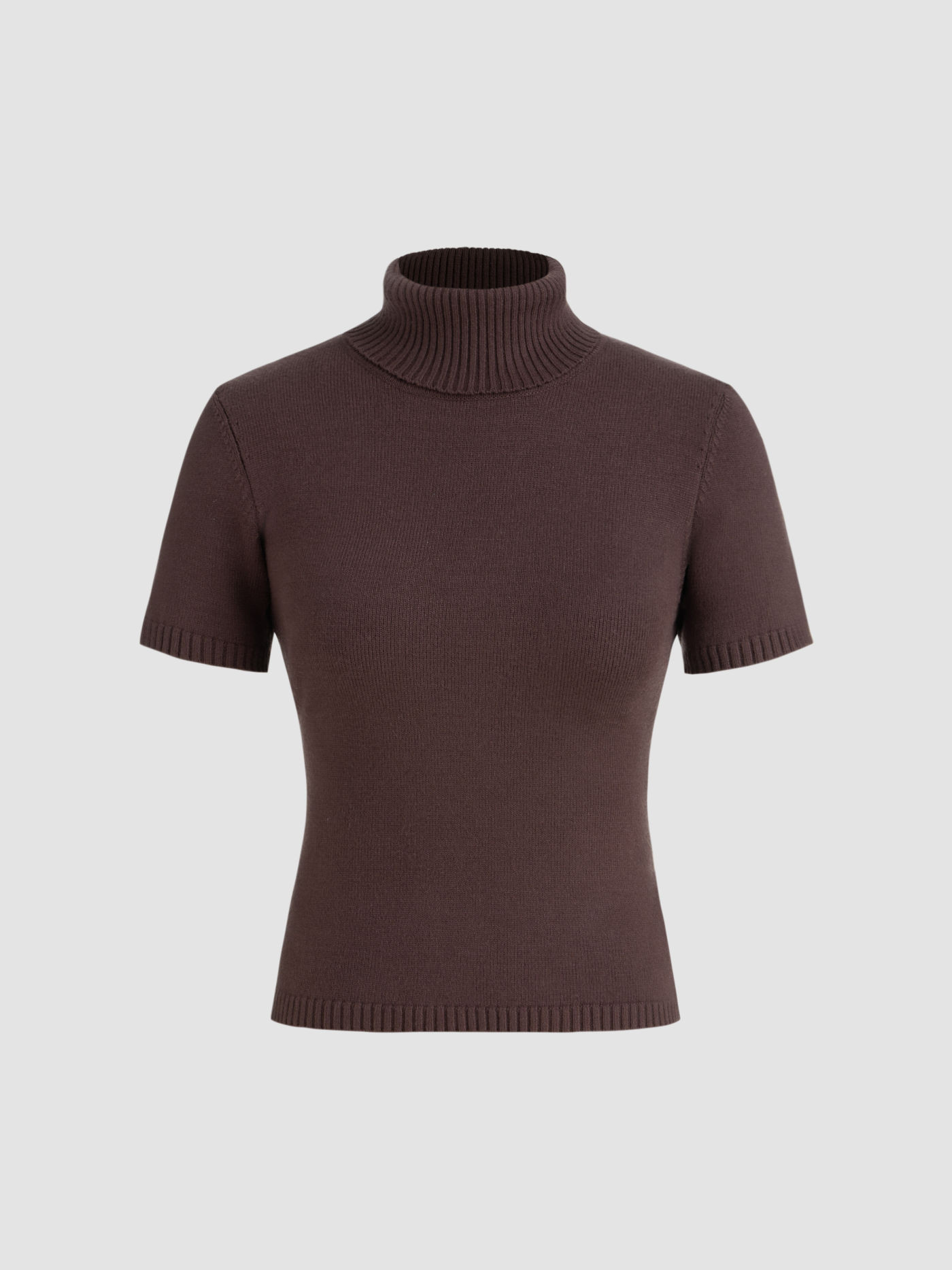 Solid Turtleneck Knit Top | Cider