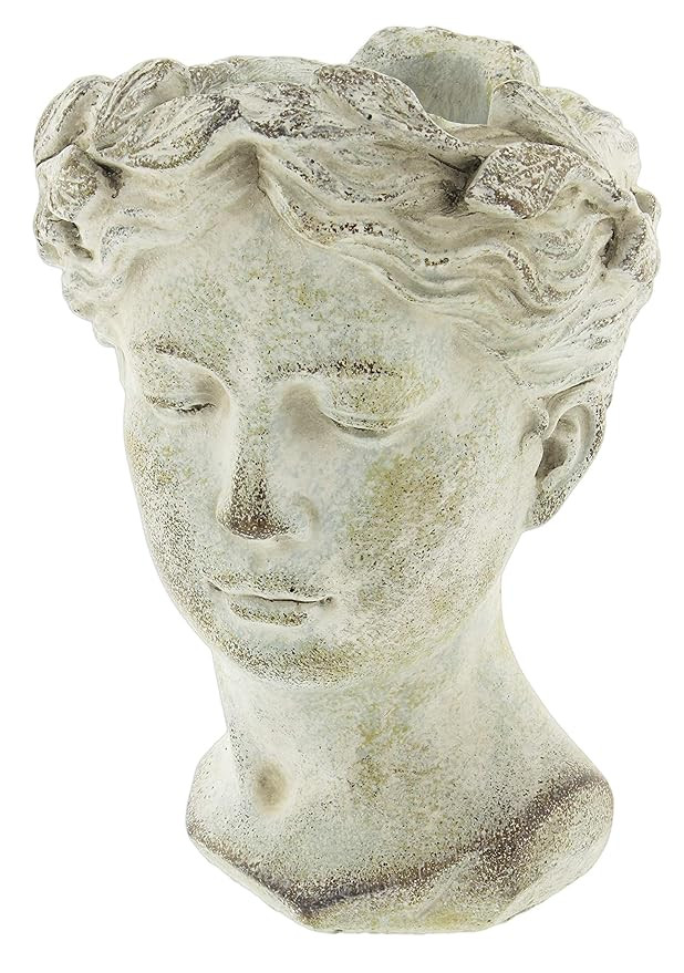 Distinctive Designs Greek/Roman Style Female Statue Head Cement Planter 9" | Amazon (US)