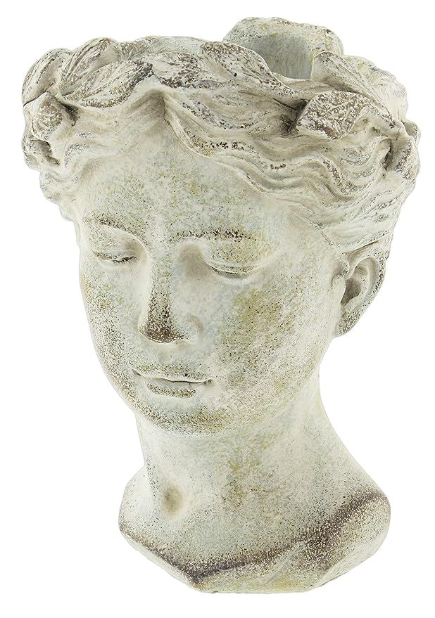 Distinctive Designs Greek/Roman Style Female Statue Head Cement Planter 9" | Amazon (US)