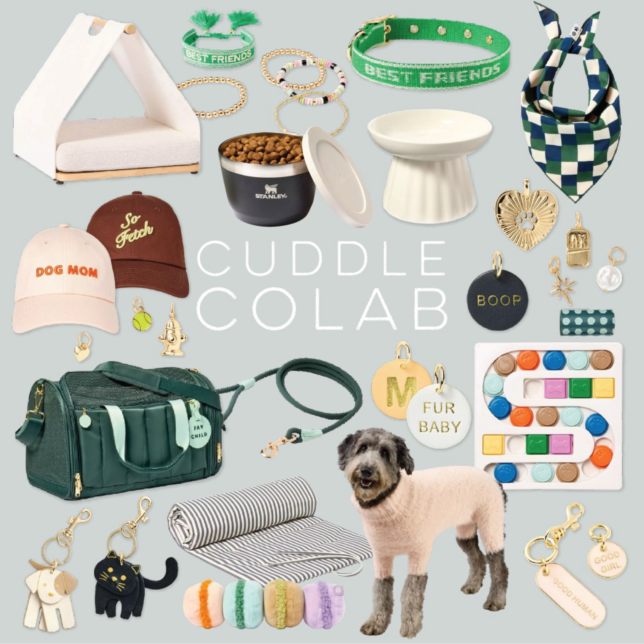 Our pets just hit the jackpot 🐾🎉 Toys, treats, matching Stanleys, and even bling! 💎 If my cat starts demanding a wardrobe, I’m blaming these products. 😂 #SpoiledAndTheyKnowIt #PetFashionistas #PawtyTime #target

#LTKFamily #LTKFallSale #LTKFindsUnder50