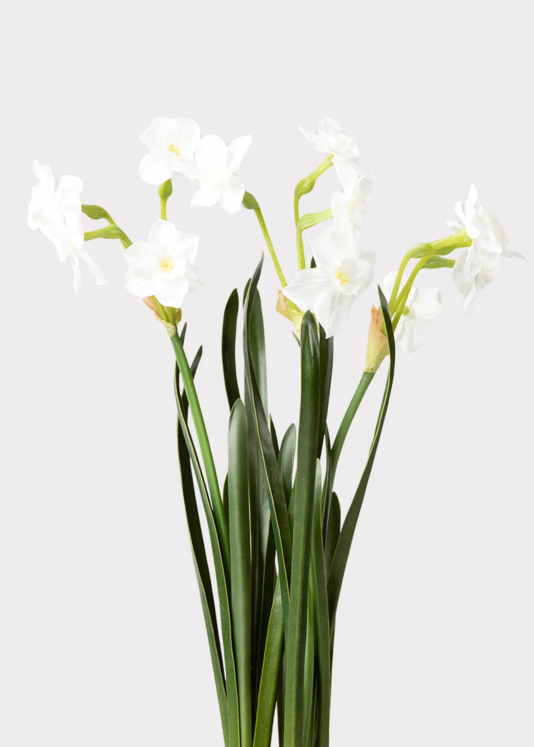 Faux Paperwhite Drop-In Plant | Artificial Spring Flowers | Afloral | Afloral