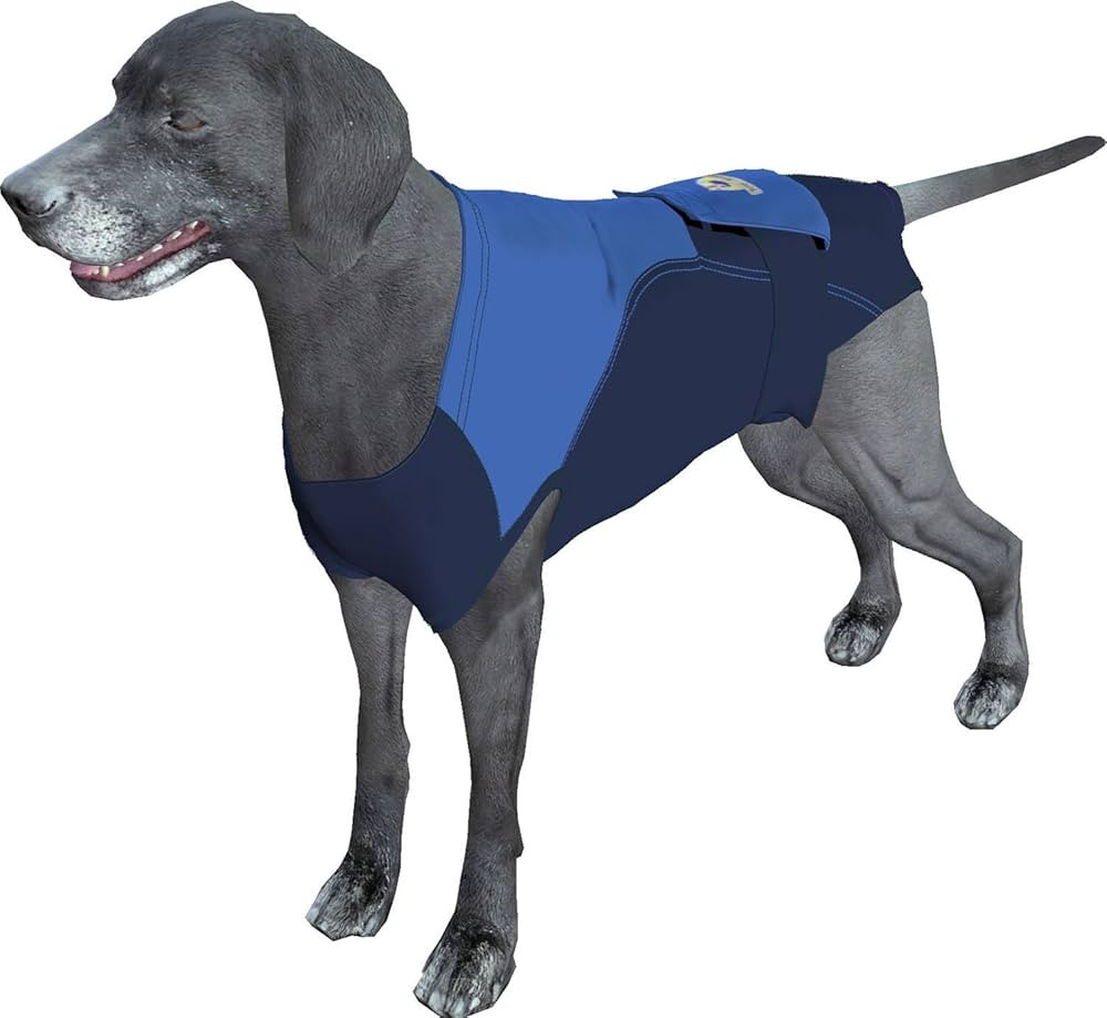 SurgiSnuggly Dog Recovery Suit Post Surgery for Dogs, Female Spay, Male Dog Neuter, The Original ... | Amazon (US)