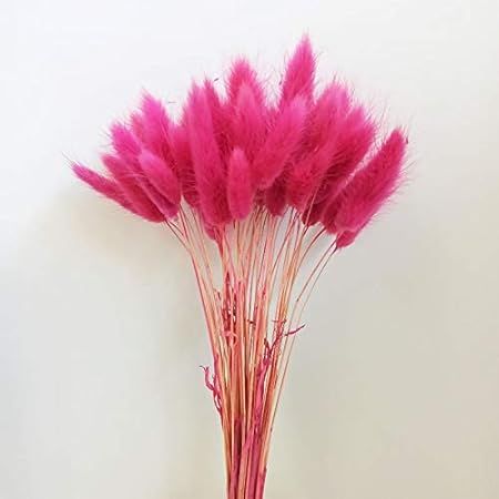 Haozhixin 50PCS Dried Grass Bouquet Natural Bunny Tail Grass Rabbit Tails Dried Flowers Boho Eter... | Amazon (US)