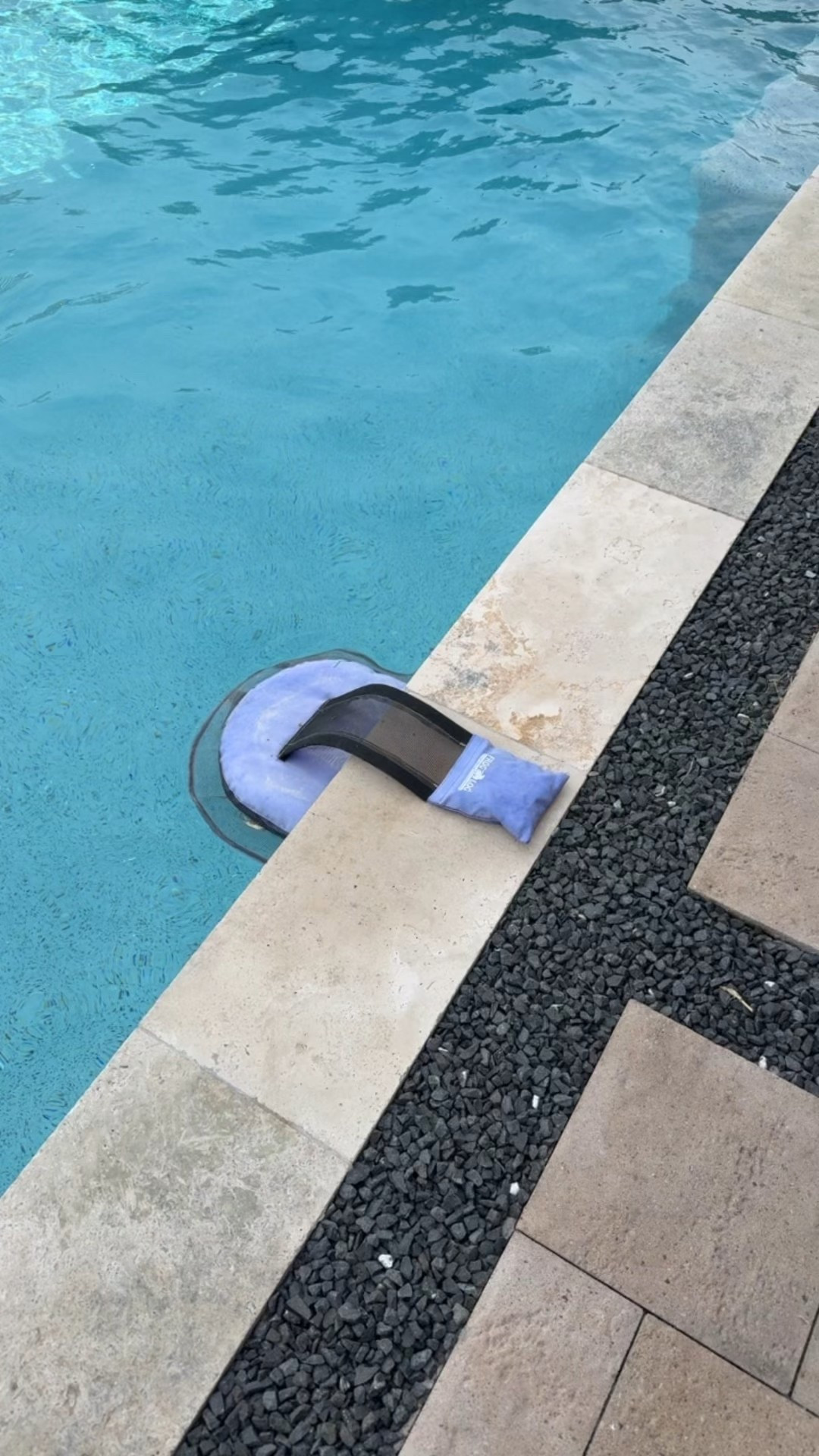 Our Frog Log to help little critters safely exit who end up in the pool