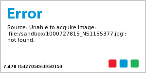 20x60 Hand Hooked All Over Ghost Runner Rug | TJ Maxx