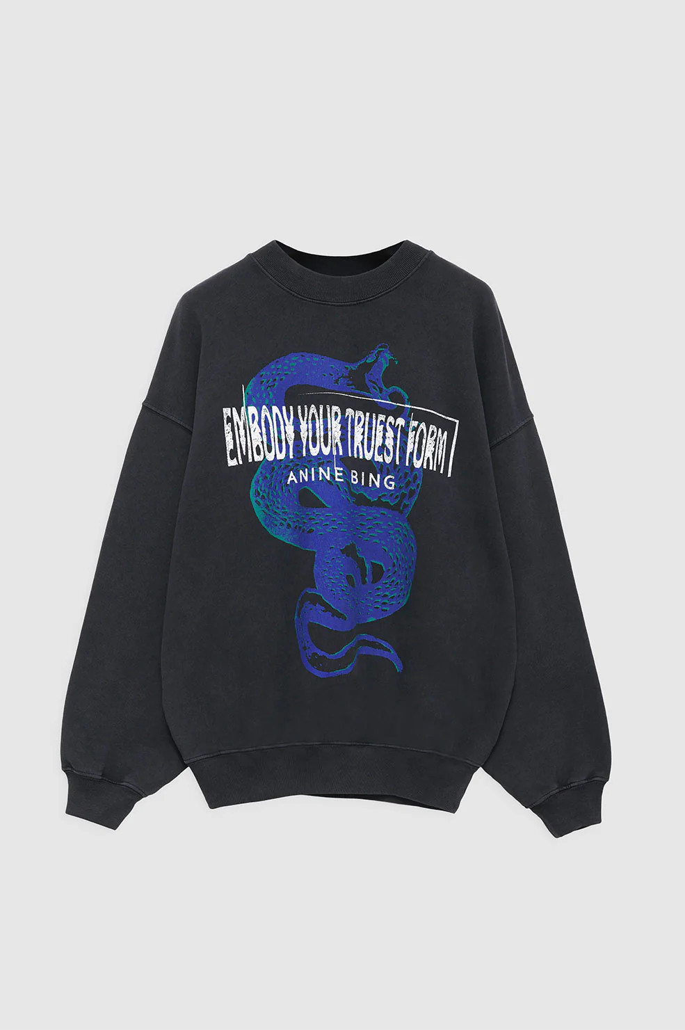 Jaci Sweatshirt Viper | Anine Bing