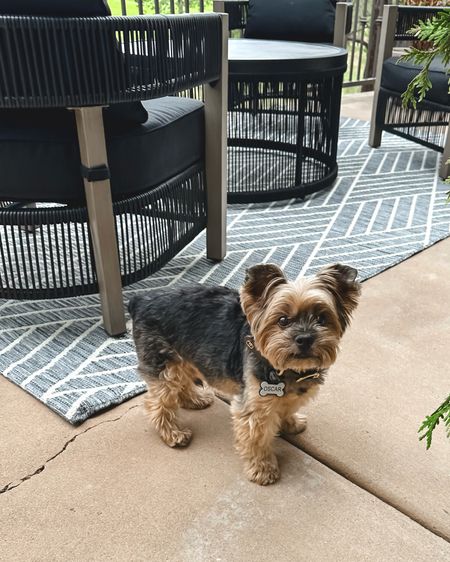 Furry son Oscar, Yorkie 
Outdoor patio furniture
Affordable yet feels and looks designer 
Outdoor couch set, conversational set, outdoor area rugs, viral planters
All Walmart



#LTKSeasonal #LTKGiftGuide #LTKhome