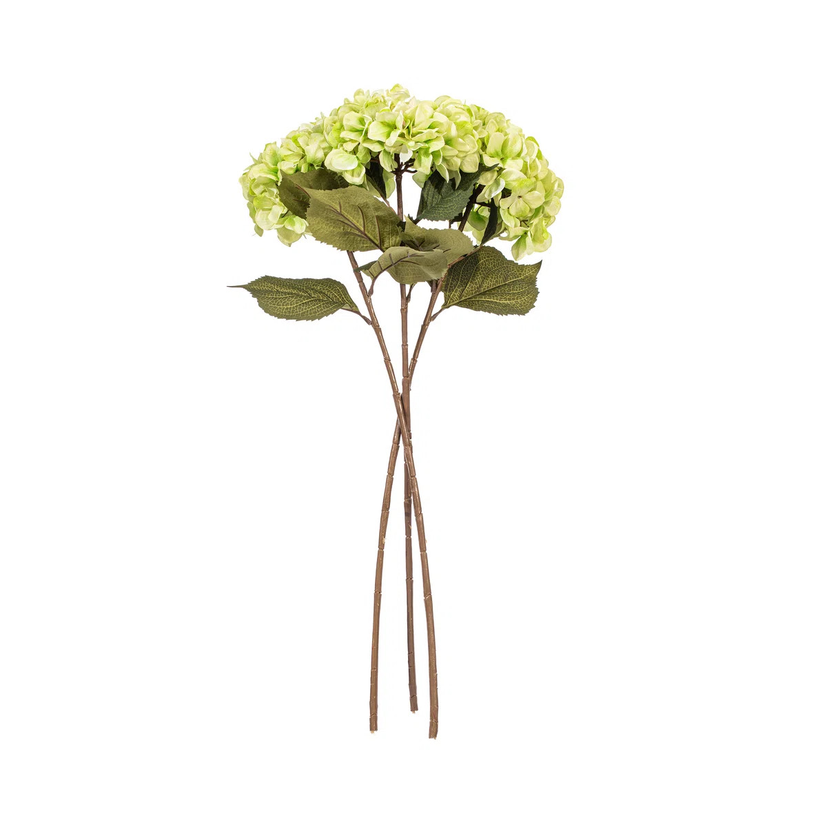 32.5" Green Hydrangea Stem (Set of 3) | Wayfair North America