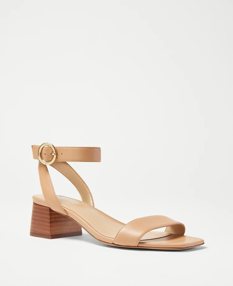 Online Exclusive | Ann Taylor (US)