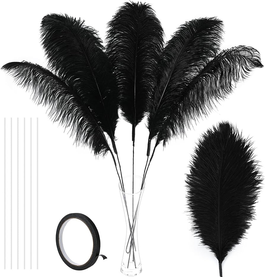 Soarer Black Large Ostrich Feathers - 10Pcs Making Kit 34inch Extra Large Ostrich Feathers for Ta... | Amazon (US)