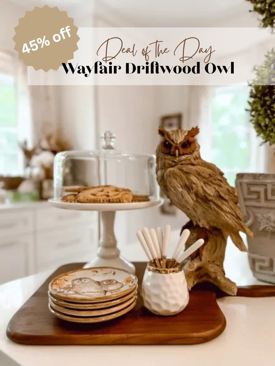 Our driftwood owl statue from @Wayfair is currently on sale! This is a stunning neutral home decor piece that can be left out all year round.

#LTKSaleAlert #LTKHome #LTKSeasonal