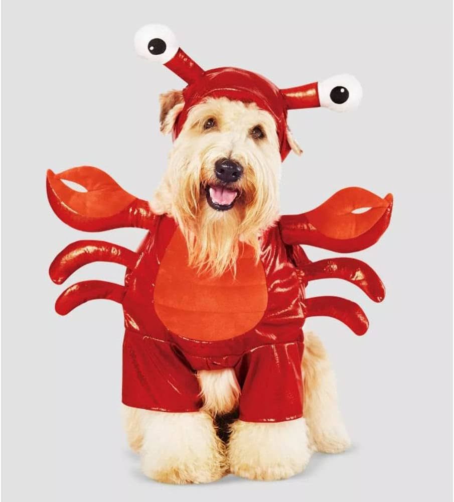 Lobster Frontal Dog and Cat Costume - Small Red | Amazon (US)
