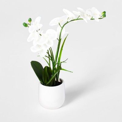 Target/Home/Home Decor/Home Accents/Artificial Flowers & Plants/Silk & Artificial Flowers/Arrange... | Target