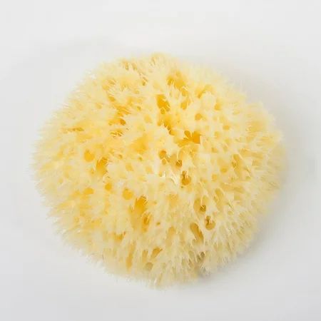 Natural Super Soft Ocean Sea Sponge Bath Body Shower Spa Loofah 3 -4.5 2020 HOT T4U7 | Walmart (US)