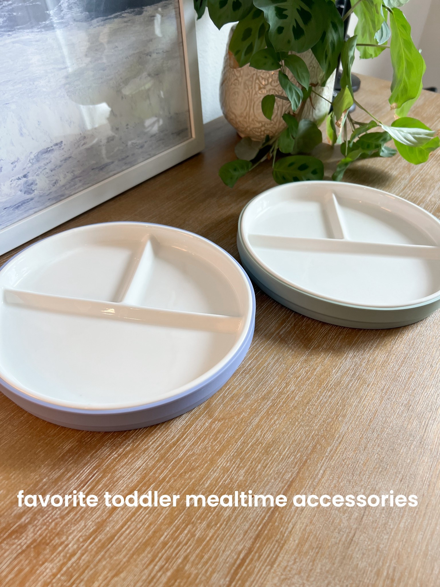 We love these ceramic toddler plates with no-slip silicone rings! Linking our other favorite toddler cups and silverware too. The cups are great for drinks or smoothies!

#LTKFindsUnder50 #LTKKids #LTKBaby