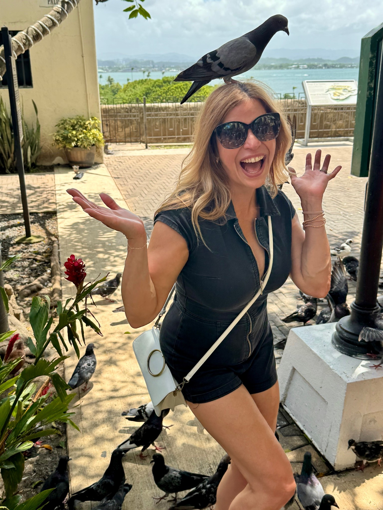 When life gives you pigeons… make it fashion 🕊✨ Nothing says effortless chic like a playful romper, sunnies that scream confidence, and a crossbody that keeps it cool and practical. Dressing up isn’t just about style—it’s about capturing moments, making memories, and feeling unstoppable wherever you go. 💫

#OOTDInspo #EffortlessChic #TravelStyle #EverydayGlam #VacationVibes #StyleWithPersonality #FashionWithEnergy #WardrobeGoals #ClosetStaple #CrossbodyObsession #BoldAndPlayful #FashionInfluencerLife


#LTKStyleTip #LTKFallSale #LTKFindsUnder100