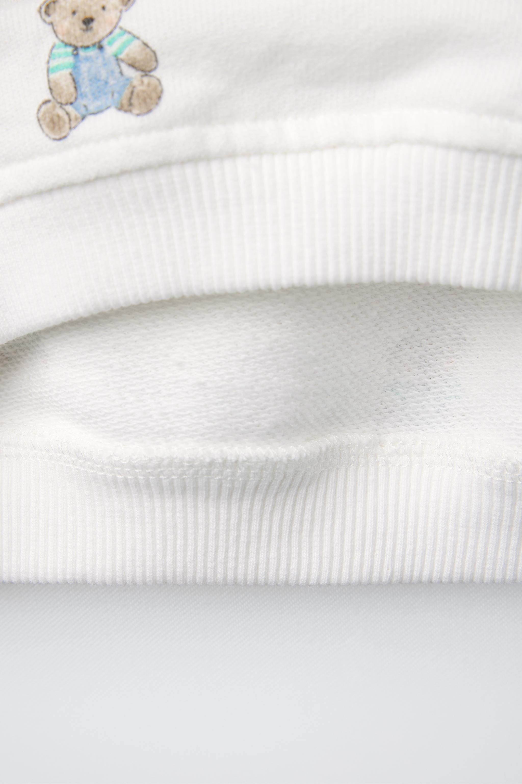 BEAR SWEATSHIRT | Zara US