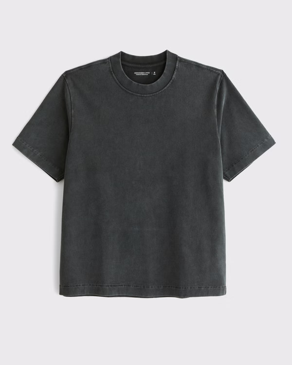 Premium Heavyweight 2.0 Tee | Abercrombie & Fitch (US)