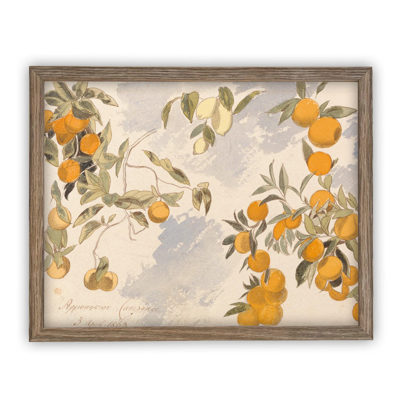 Framed Vintage Citrus Botanical Print: Farmhouse Canvas Art - Etsy | Etsy (US)