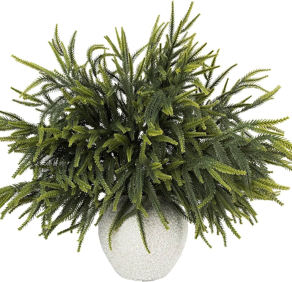 N&T NIETING 24in Christmas Norfolk Pine Branches Norfolk Pine Artificial Christmas Branches Real ... | Amazon (US)