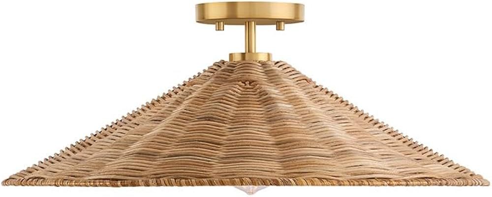 FR60074NBFR 1-Light Ceiling Light in Natural Brass (22'' W x 8'' H) | Amazon (US)