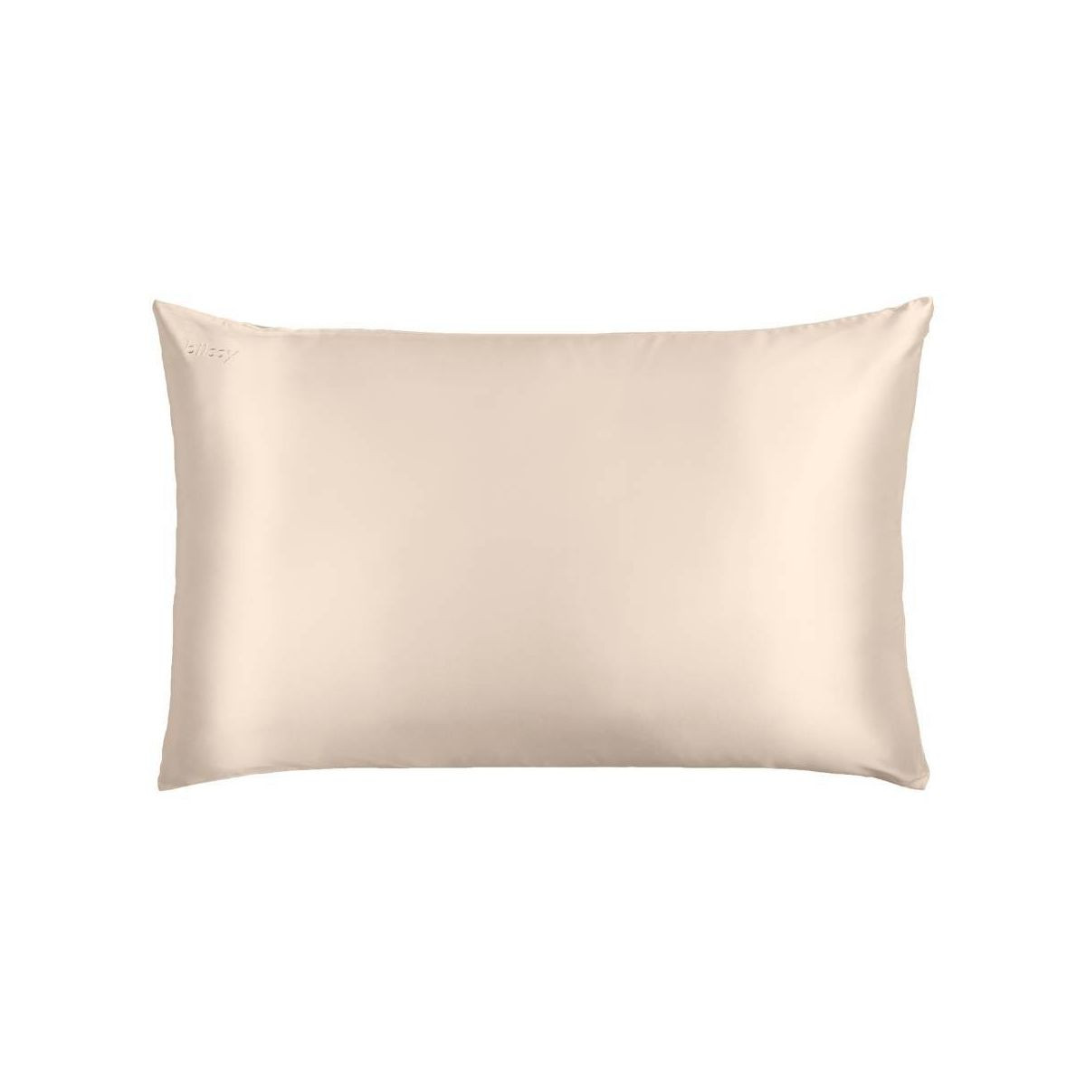 Blissy 600 Thread Count Silk Pillowcase | Target