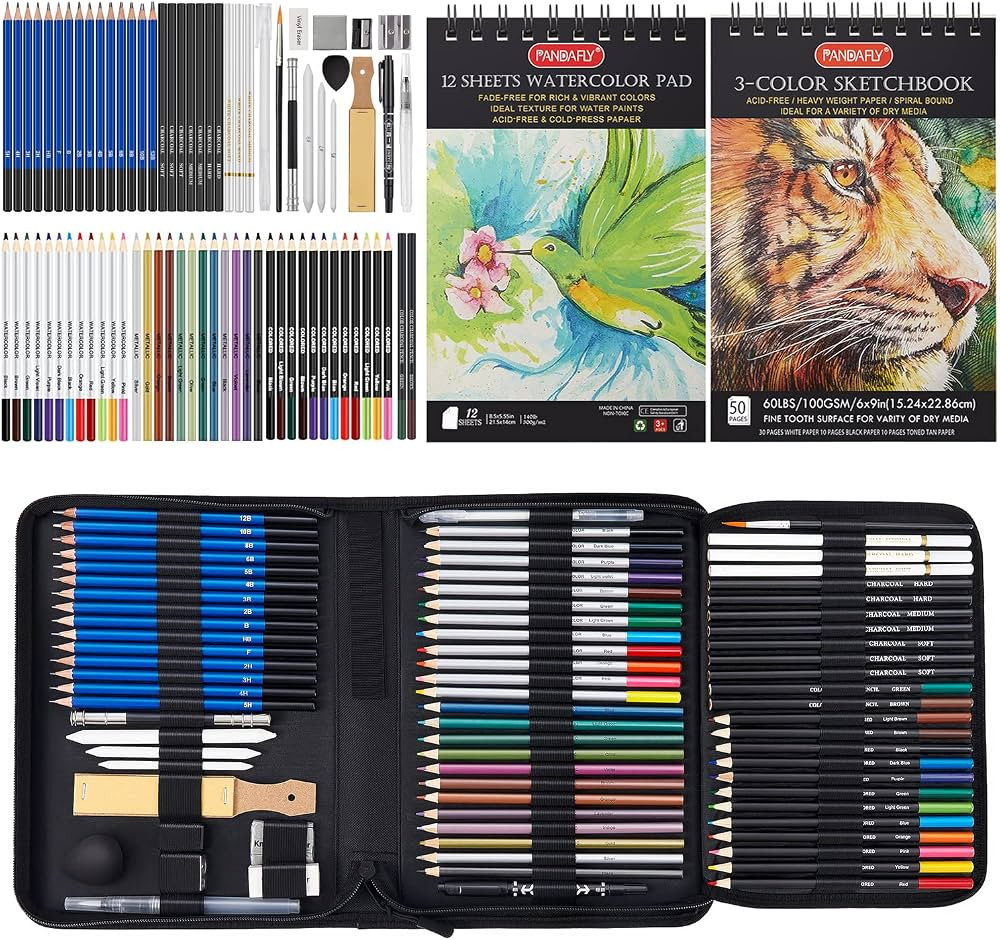 PANDAFLY 80 Pack Drawing Set Sketching Kit, Pro Art Supplies with 3-Color Sketchbook, Watercolor ... | Amazon (US)