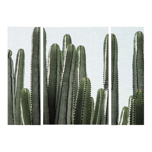 Desert Detail Triptych Canvas Wall Art 3 Piece by World Market | World Market