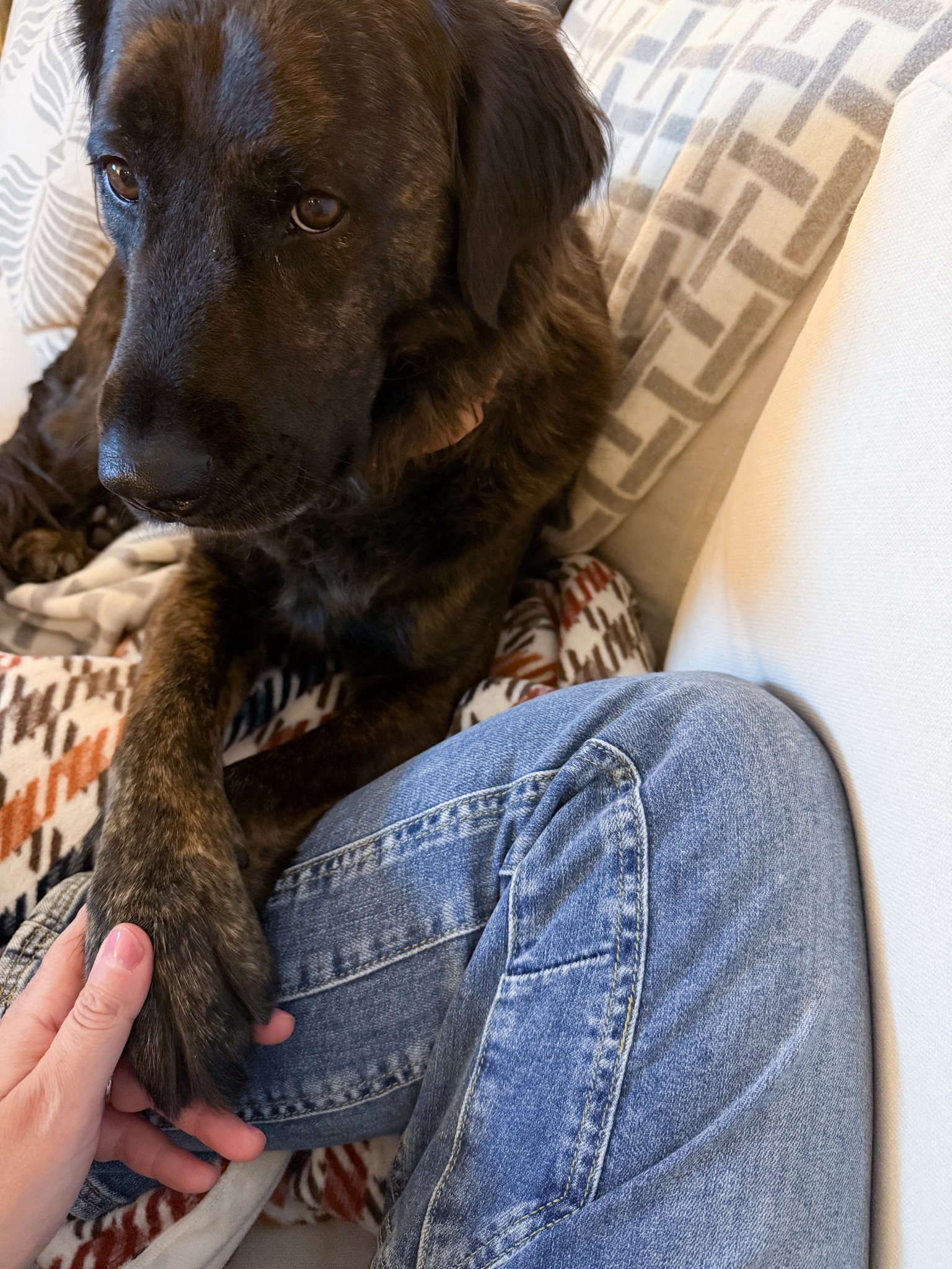 Living in these jeans (and these cozy blankets) 

#LTKselfcare #LTKootd #LTKHome