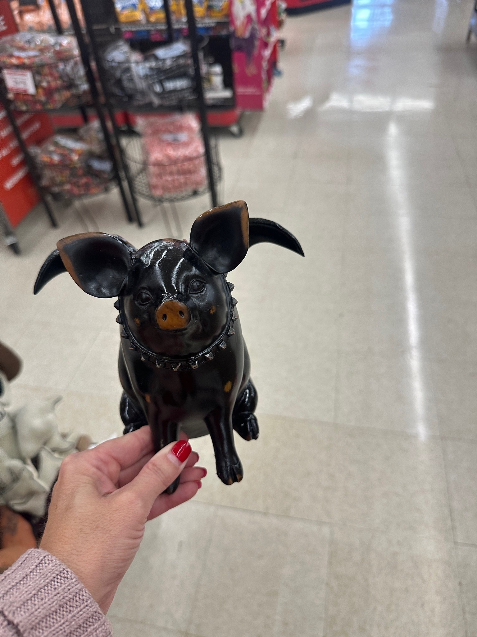 My momma always said, “when pigs fly…” 🤷🏼‍♀️

Well Momma… apparently they do. And they’re at Tractor Supply. 

I absolutely could NOT leave him there.

#LTKdayinmylife #LTKSeasonal